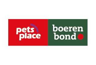 ijsvogelgroep